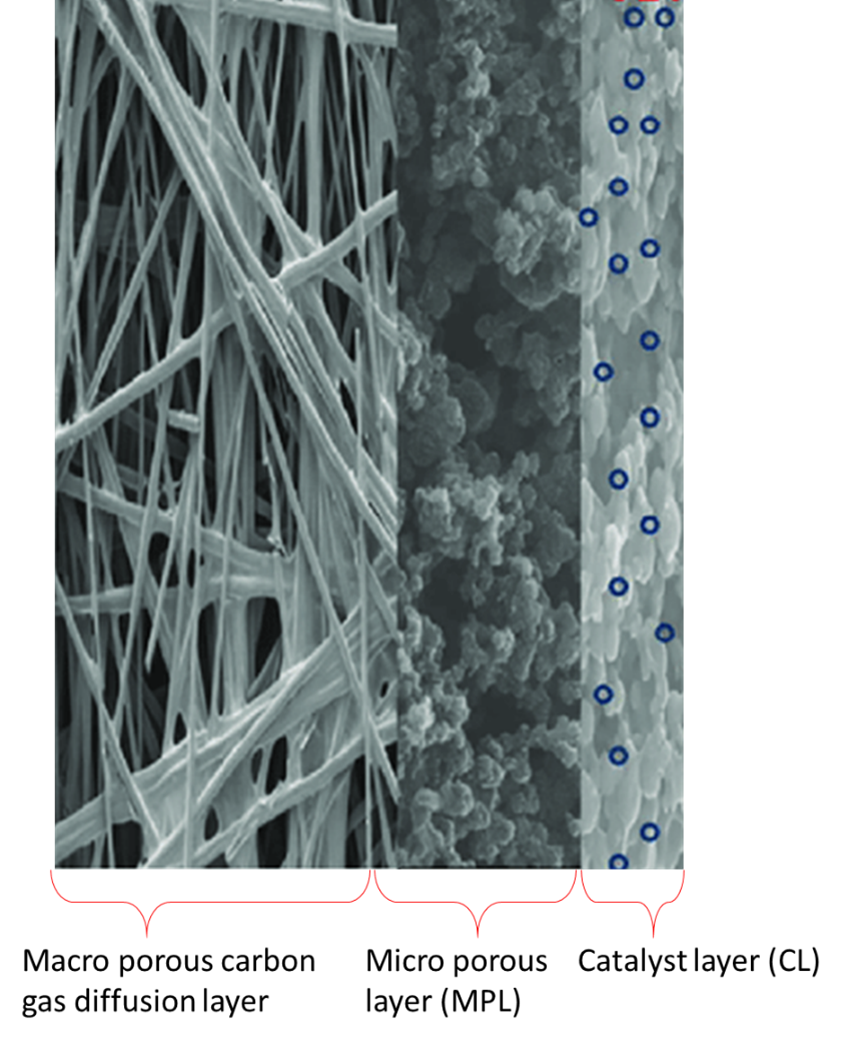 Structure of Diffusion Electrode